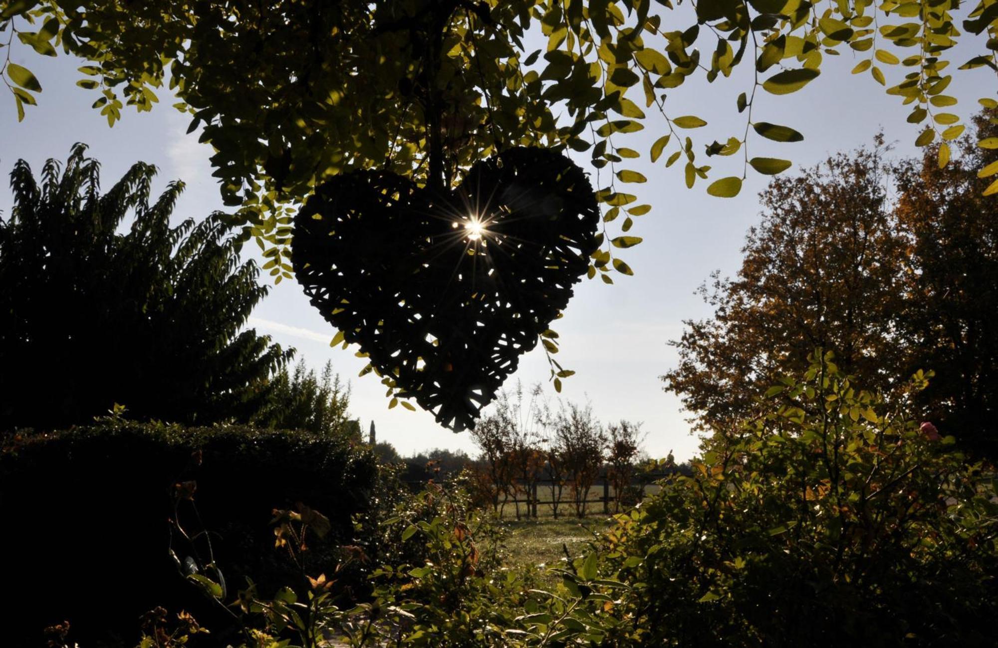 Agriturismo La Breda Guest House ซานเฟลีเช เดล เบนาโก ภายนอก รูปภาพ