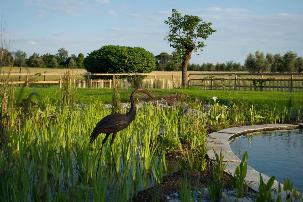 Agriturismo La Breda Guest House ซานเฟลีเช เดล เบนาโก ภายนอก รูปภาพ