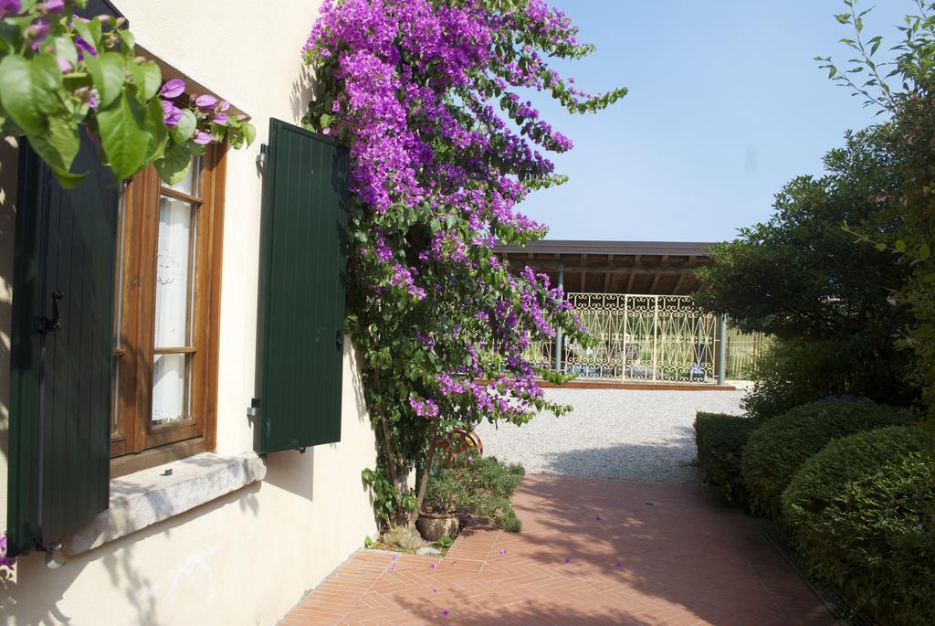 Agriturismo La Breda Guest House ซานเฟลีเช เดล เบนาโก ภายนอก รูปภาพ